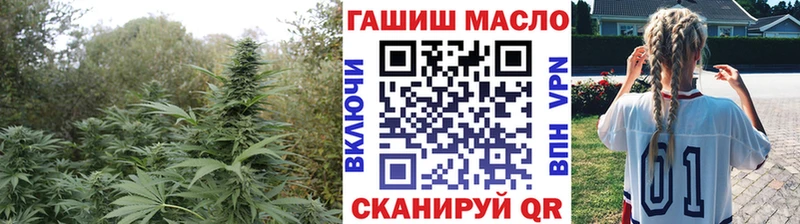 где можно купить   Алзамай  Дистиллят ТГК концентрат 