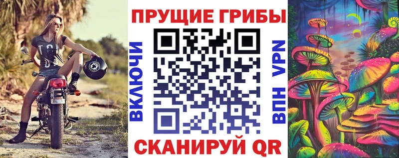 Псилоцибиновые грибы Cubensis  Алзамай 